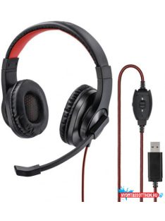 Hama Fejhallgató HS-USB400 USB