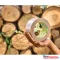 Ragasztószalag papír 50mmx25m Tesa Ultra Strong ecoLogo barna