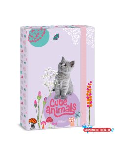 Ars Una Cute Animals-kitten A/4 füzetbox