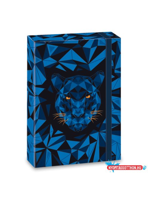 Ars Una Black Panther A/5 füzetbox