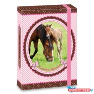 Ars Una My Horse lovas A/5 füzetbox