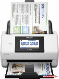 Epson Szkenner DS790WN