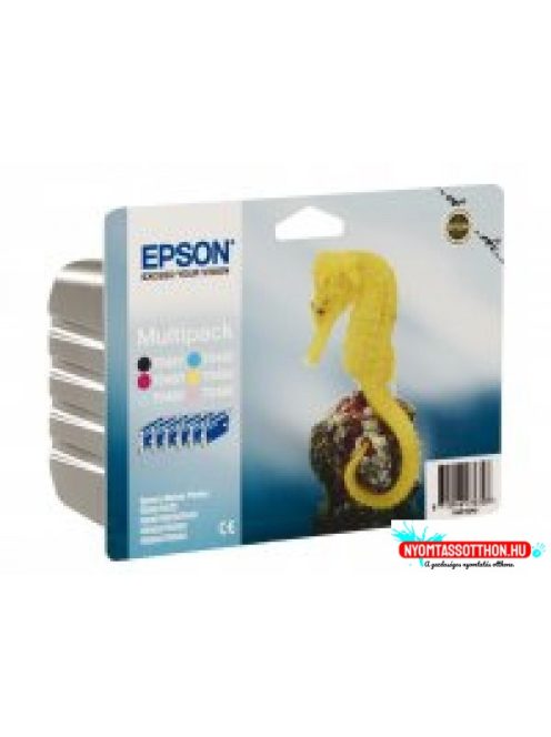 Epson T048C Patron Multipack (Eredeti)