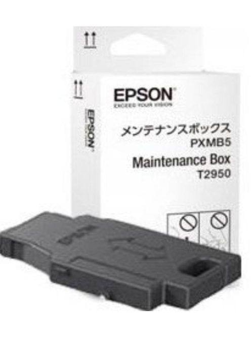 Epson T2950 Maintenance Box (Original)