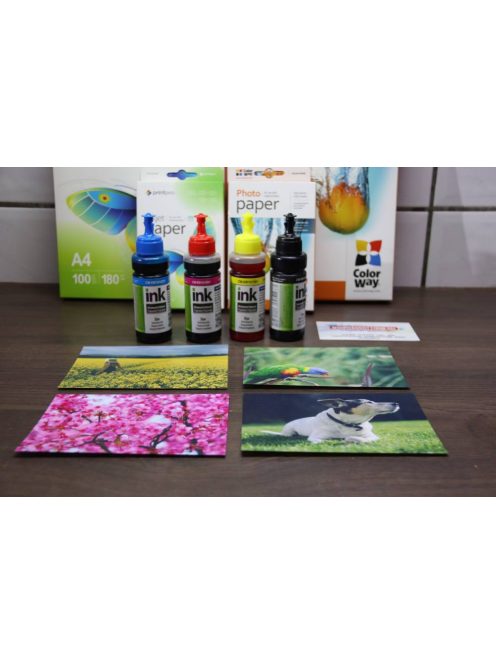 ColorWay T6641-T6644 Set Ink - 100ml (Premium UV Resistant Ink)