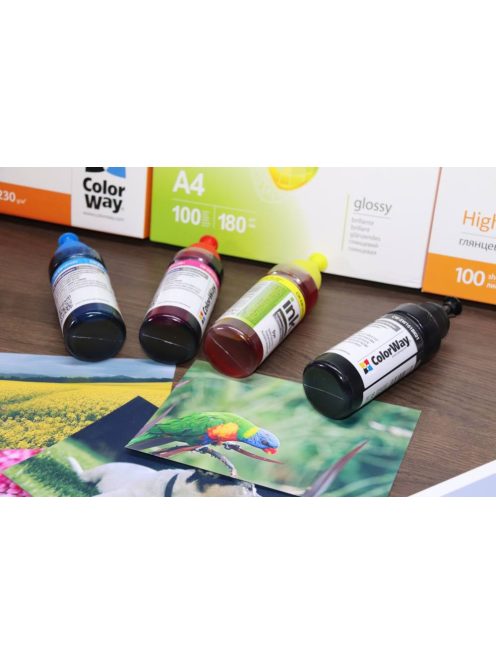 ColorWay T6641-T6644 Set Ink - 100ml (Premium UV Resistant Ink)