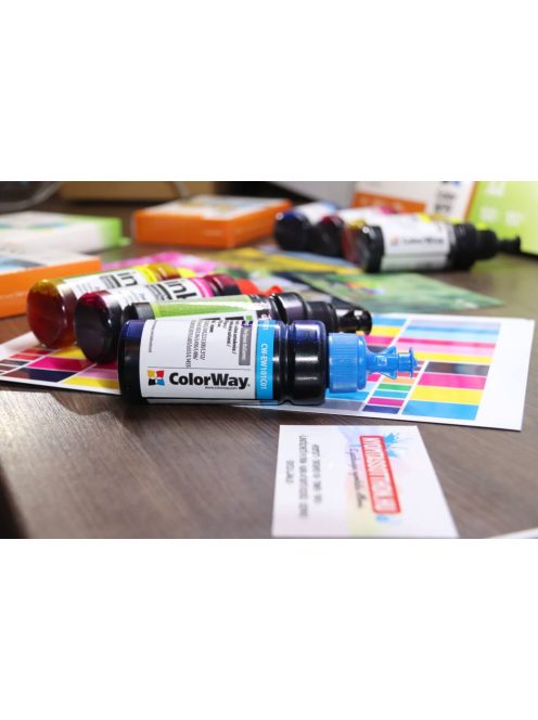 ColorWay T6641-T6644 Set Ink - 100ml (Premium UV Resistant Ink)