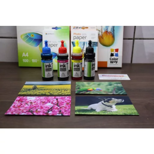 ColorWay T6641-T6644 Set Ink - 100ml (Premium Remanufactured Ink)