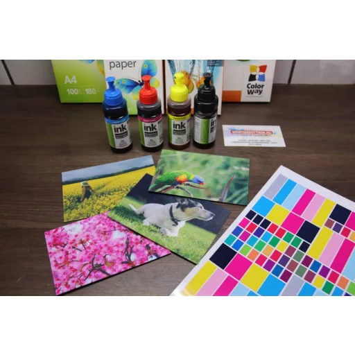 ColorWay T6641-T6644 Set Ink - 100ml (Premium Remanufactured Ink)
