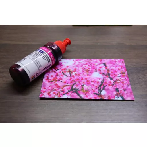 ColorWay T6641-T6644 Set Ink - 100ml (Premium Remanufactured Ink)