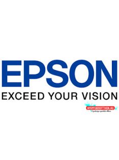 GR.EPSON DFX5000 Tape (For use)