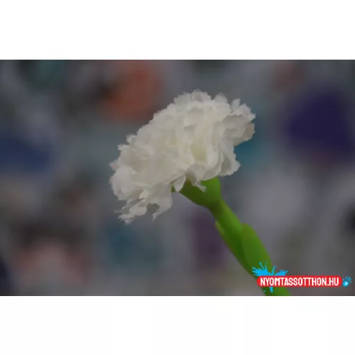 Szegfű fekete zselés toll, 0.5mm