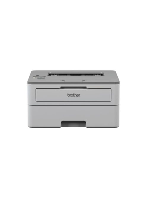 Brother HLB2080DW Printer