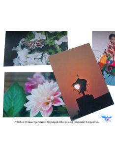   Remanufactured T1281-1284 UV Resistant 100ml Complete Set (dye)