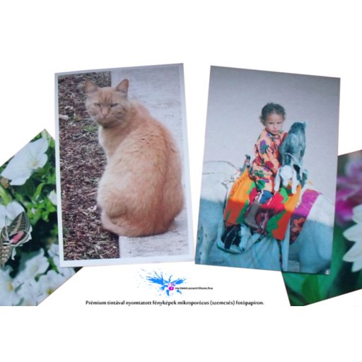 Utángyártott HP21/Utángyártott HP22 tinta, 100ml komplett szett