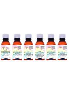   Remanufactured T0801-T0806 UV Resistant 100ml Complete Set (dye)