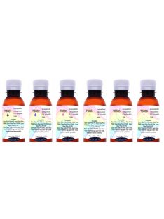   Remanufactured T0801-T0806 UV Resistant 100ml Complete Set (dye)