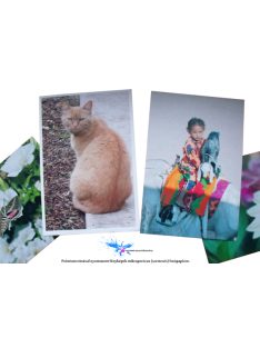   Remanufactured T0801-T0806 UV Resistant 100ml Complete Set (dye)