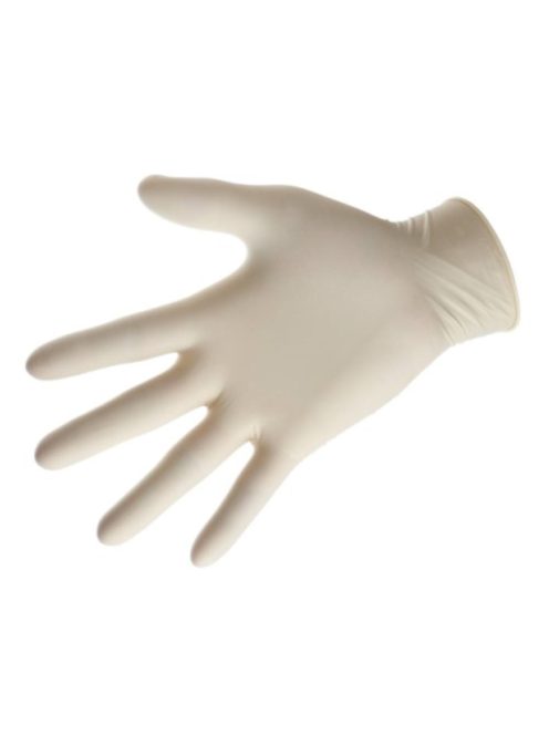 Latex Gloves (1 Pair)