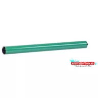 SHARP MX560DR Drum / FU / KTN (For use)