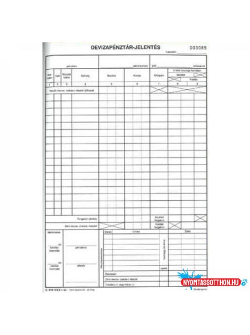 Deviza pénztárjelentés A4, álló 25x2lapos C.318-123/V Pátria