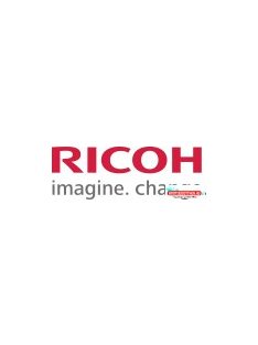 RICOH MPC3002 blade CT ( For use )