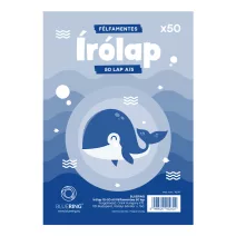 Írólap-rajzlap