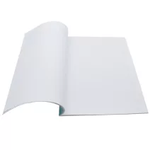 Tűzött füzet